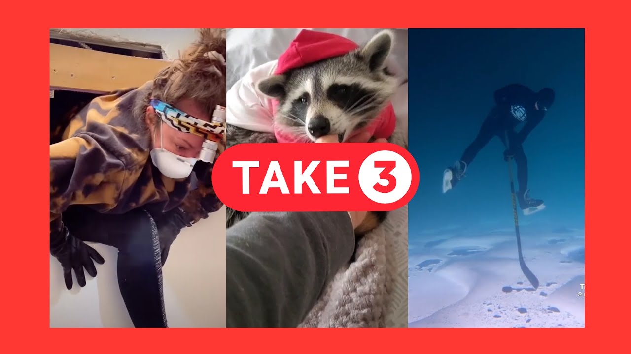 A Creepy Tik Tok Discovery, Raccoons Attack Toronto, And More! | Take 3