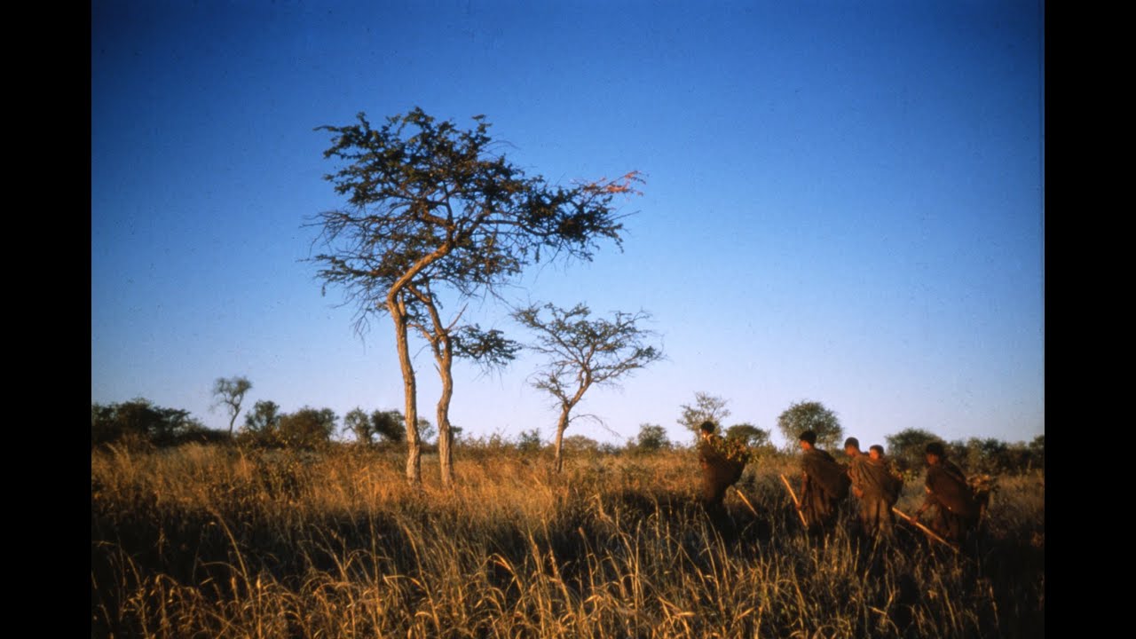 A Kalahari Family - TRAILER