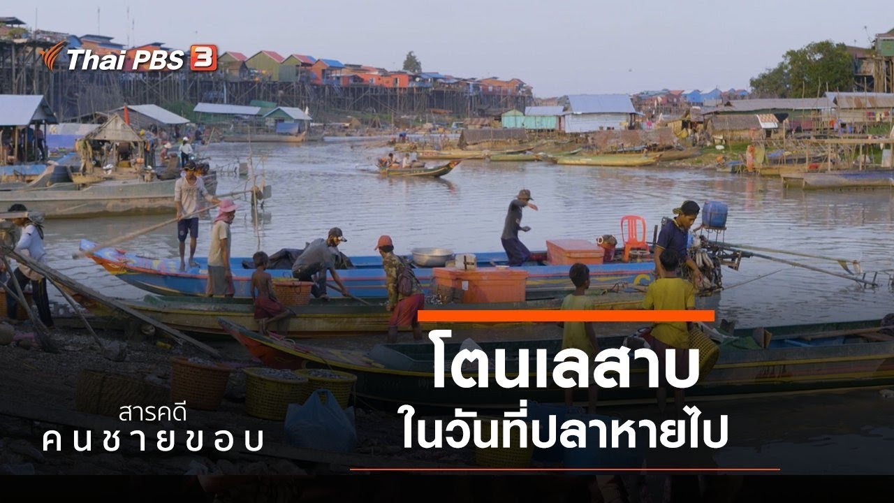 โตนเลสาบ ในวันที่ปลาหาย : คนชายขอบ (20 ก.ย. 63)