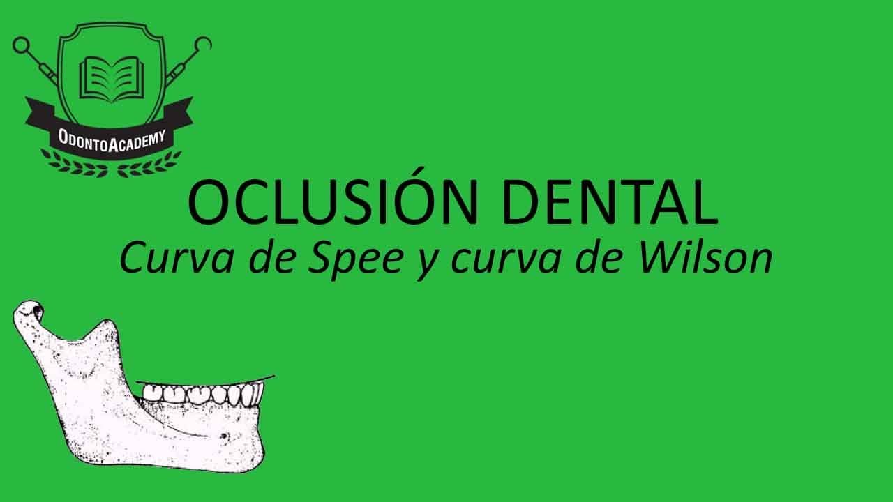 Planos de oclusión dental [EXPLICADO EN 3D] Curva de Spee |Curva de Wilson |
