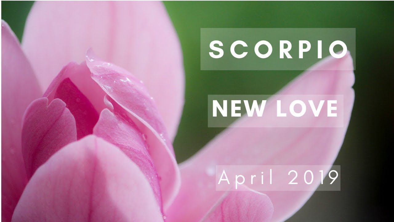SCORPIO: New Love! April 2019