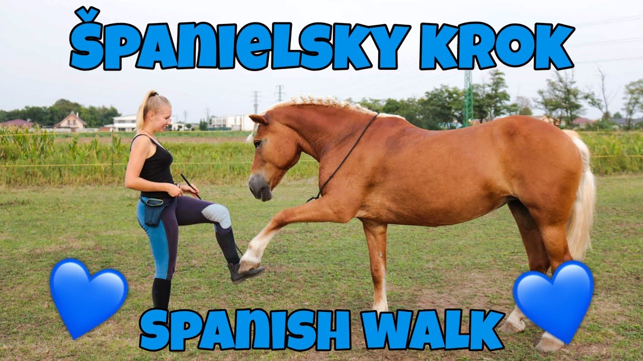Ako naučiť koňa Španielsky krok // How to teach your horse Spanish Walk