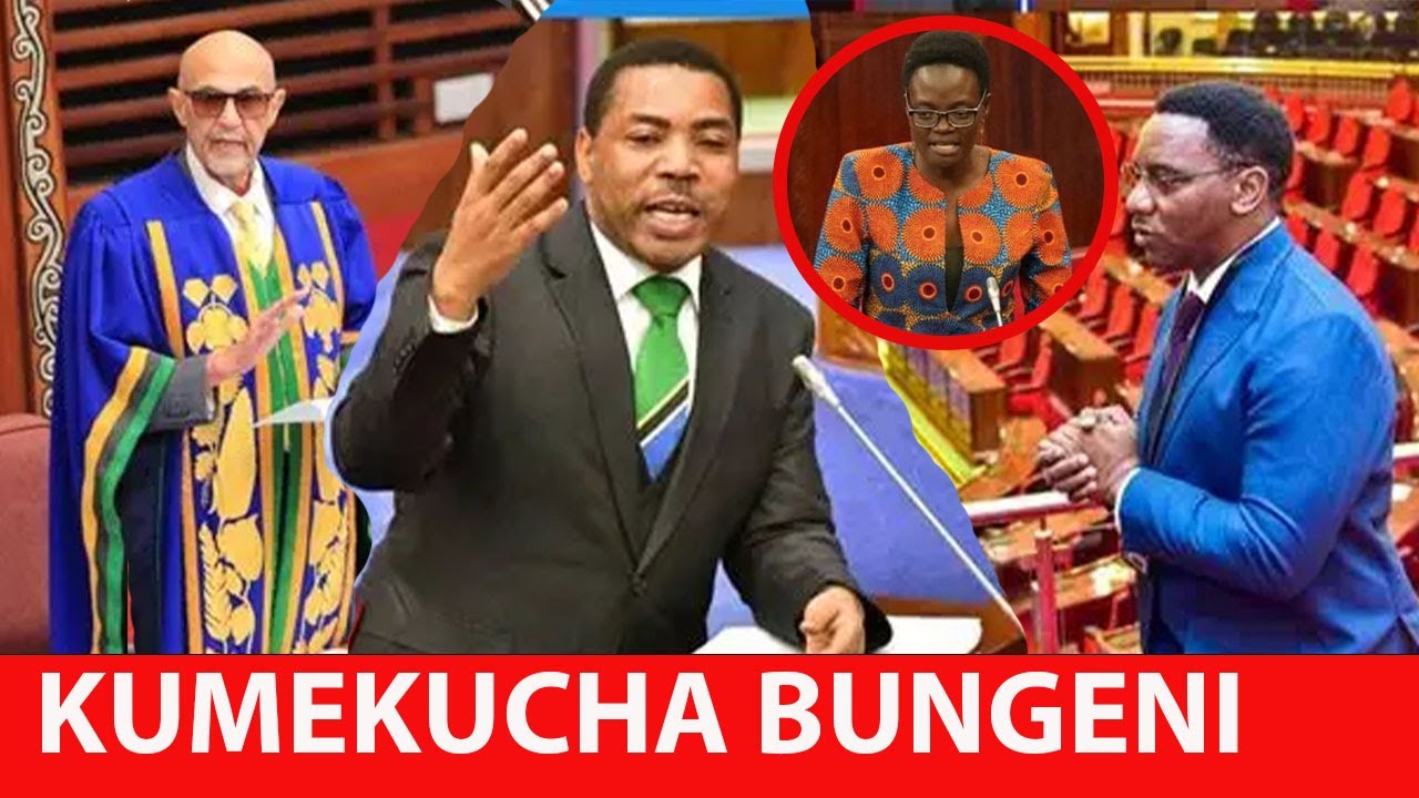 LIVE: KINANUKA MUDA HUU BUNGENI BAADA BUNGE KUVUNJWA 2025 WANAFANYA UCHAGUZI BITEKO, ADO KIKANGONI