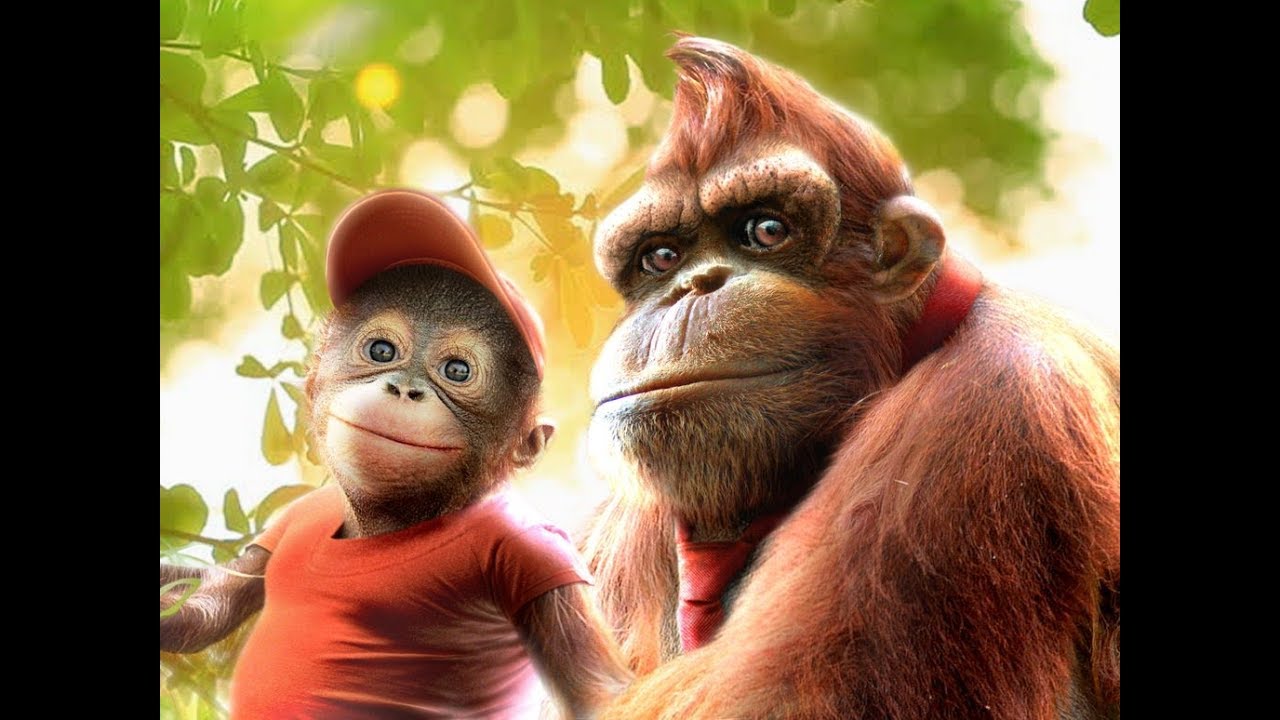 Donkey Kong Country MSU-1 (SNES) 101% Full Gameplay