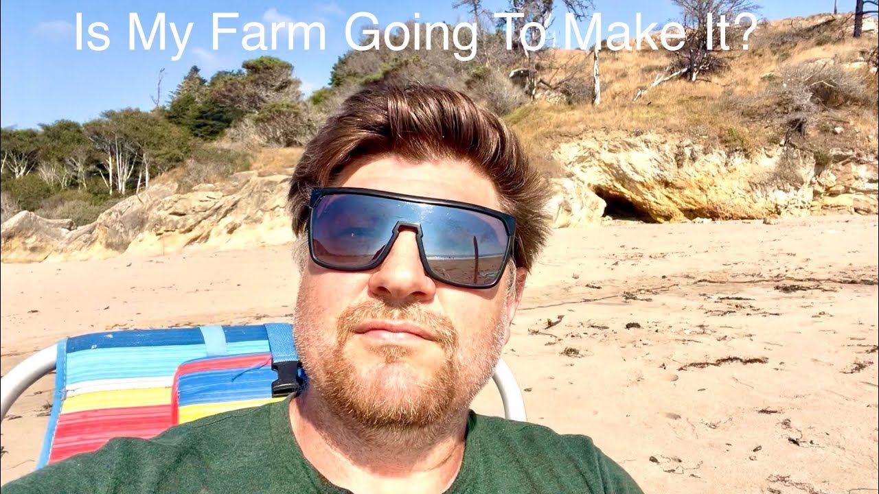 I Got A Job |  Will My Farm Survive? September 2025 Update 