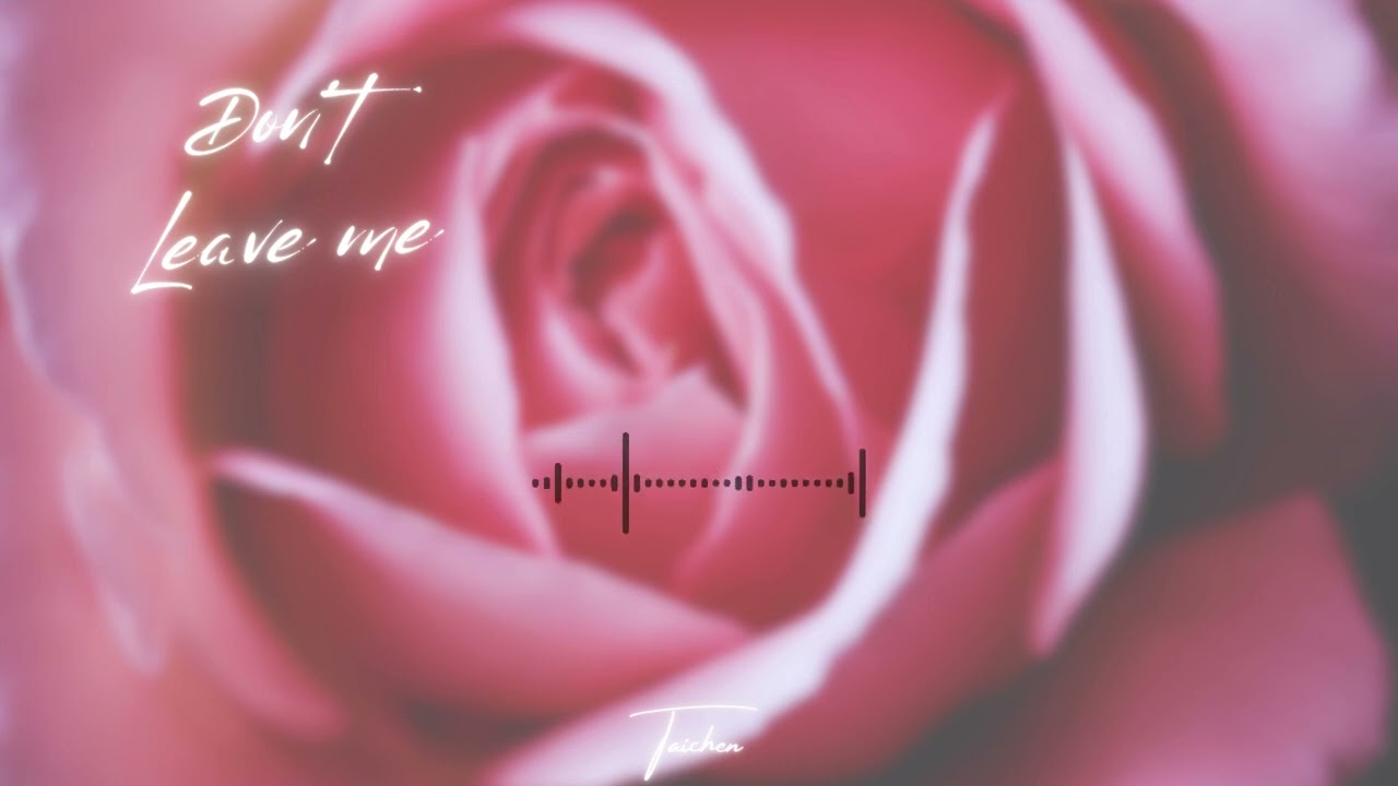 Don't leave me - Taichen  #music #popmusic