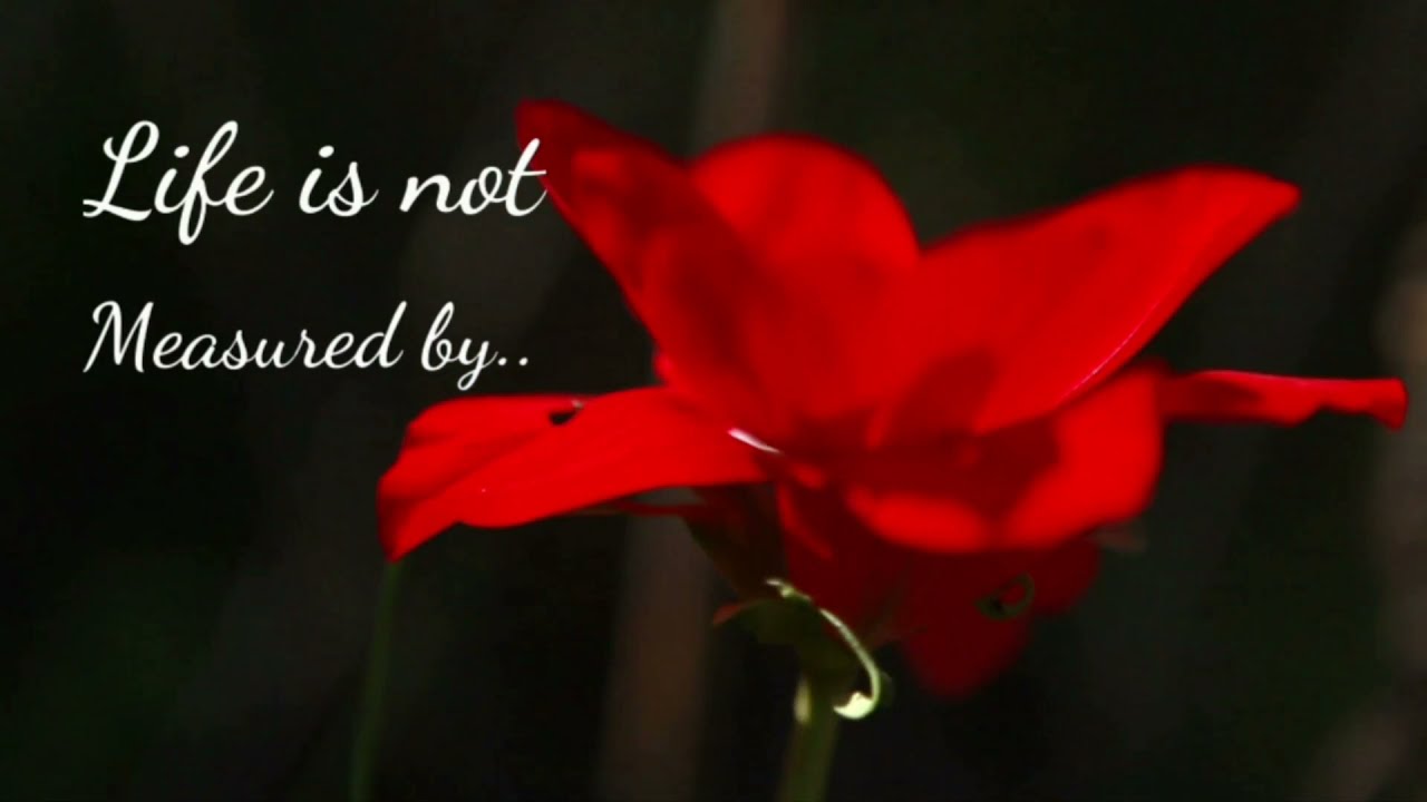 Don't take the good time for granted