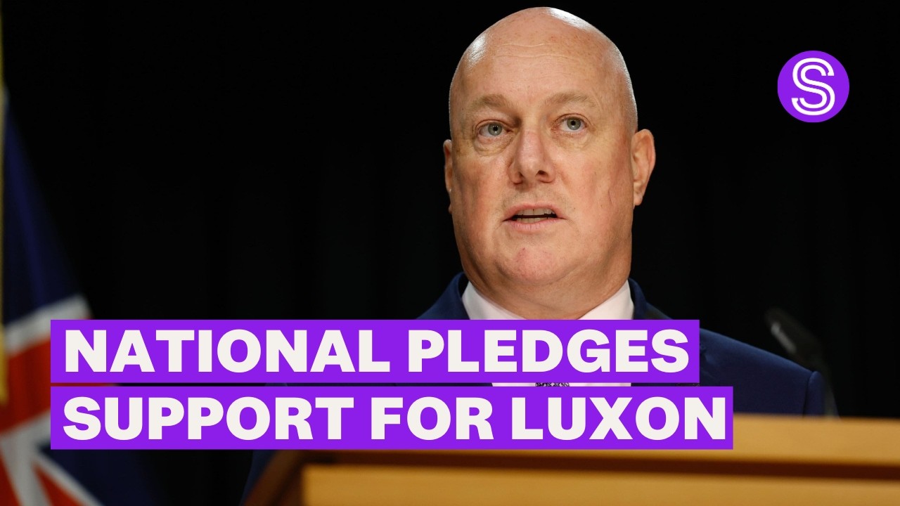 National MPs pledge their support for Luxon in wake of shock poll result | Stuff.co.nz