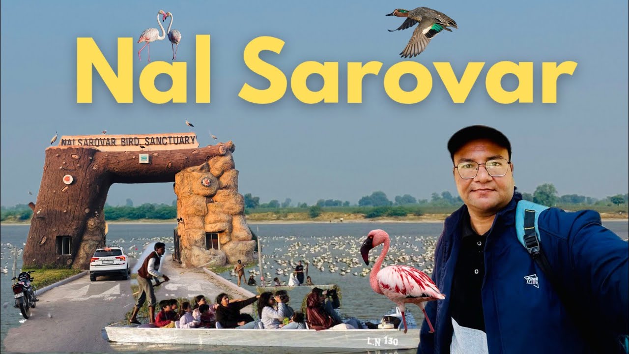 Nal Sarovar Bird Sanctury Ahmedabad | નળ સરોવર પક્ષી અભ્યારણ અમદાવાદ | નળ સરોવર અમદાવાદ  