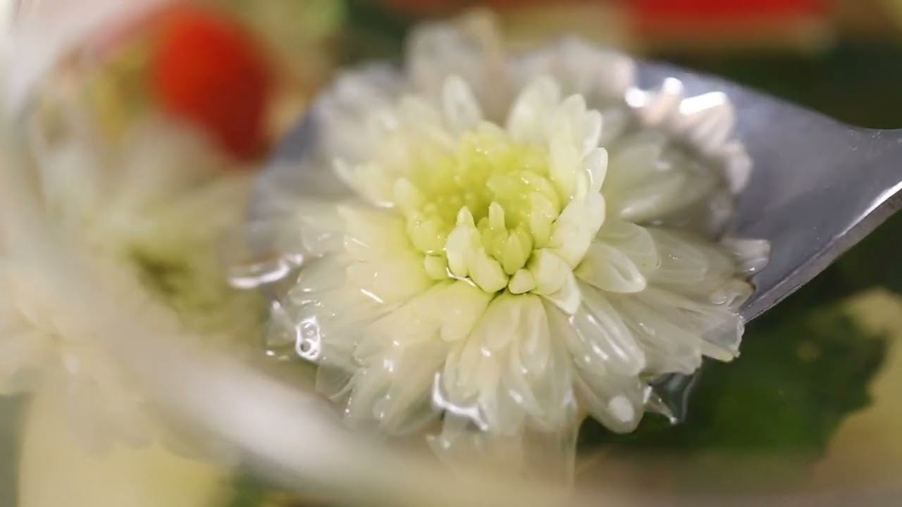 할미꽃 사랑 02092
