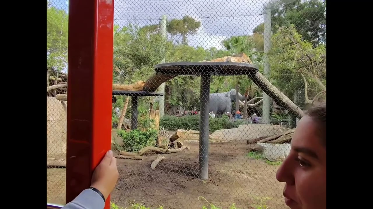 San Diego Zoo Bus Tour 2026 @SanDiegoZoo 