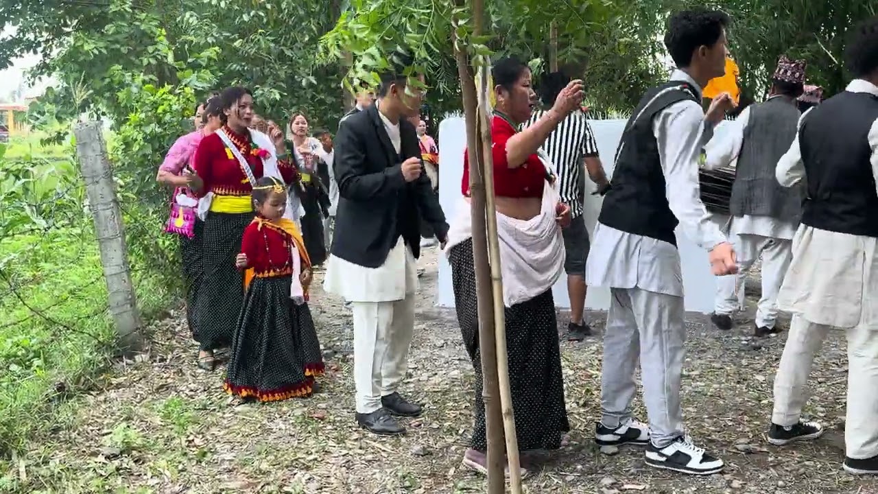 Sakela 2082