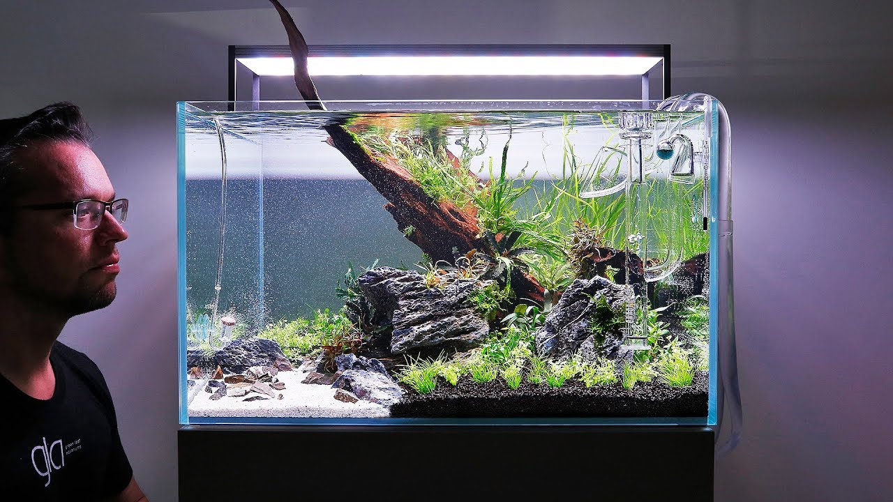 HOW TO set up a Beautiful Nature Aquarium Aquascape
