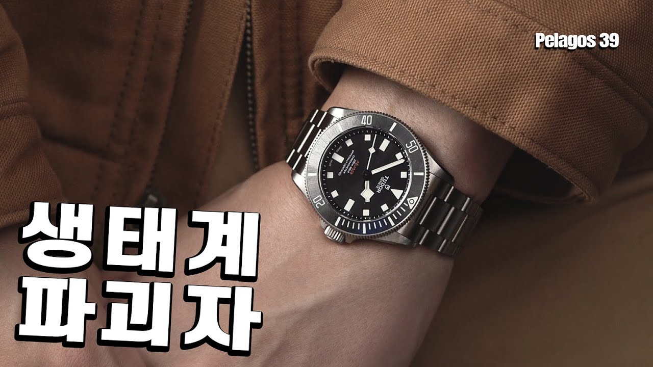 튜더가 폭주하기 시작했습니다. 단점이 없는 다이버워치, 튜더 펠라고스 39
