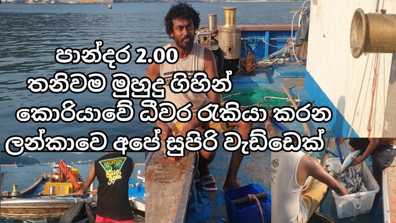 South korean fishing job 