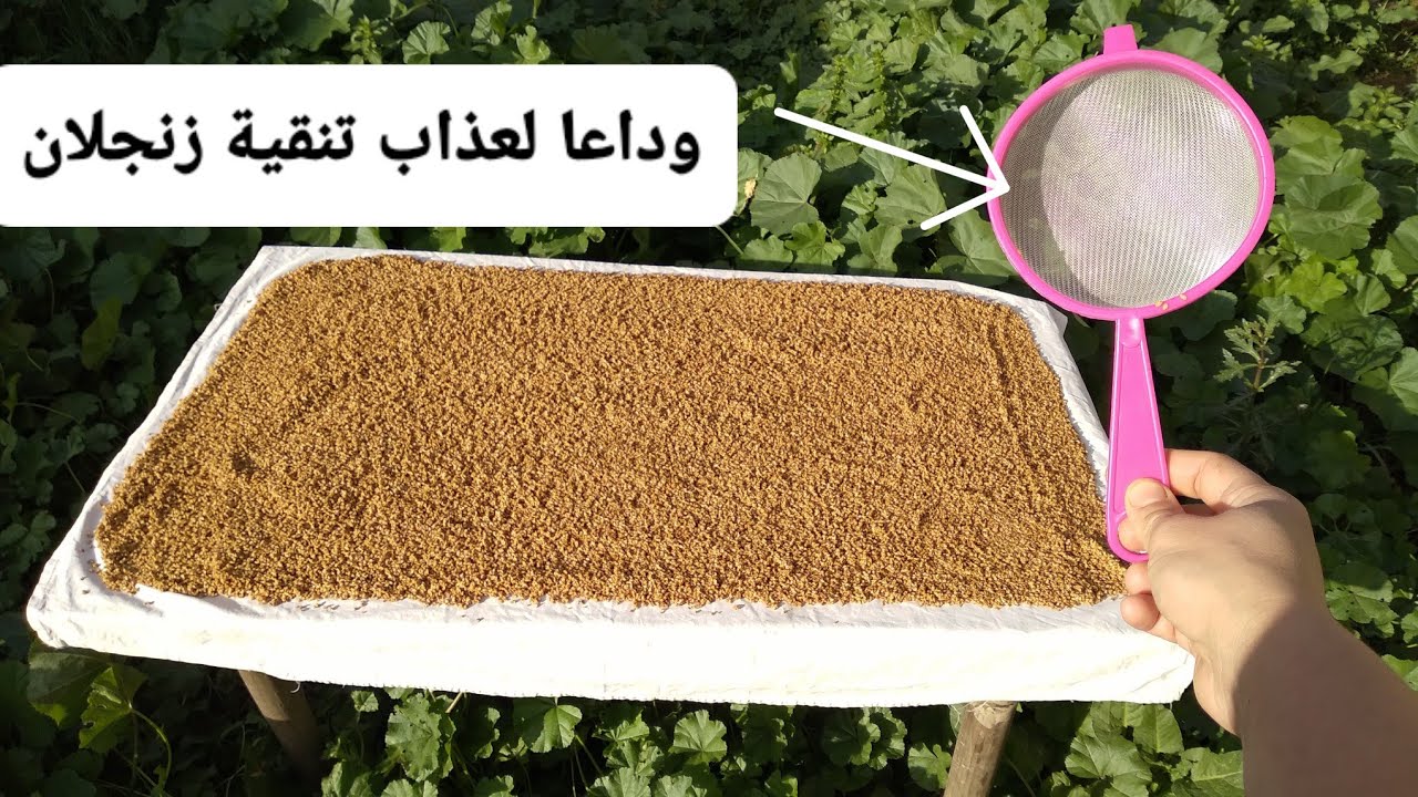 بدون ملح غير بجوج مراحل فقط فطريقتي الساهلة لغسل الزنجلان وهانتي تهنيتي نهائيا من عذاب تنقية ديالو.