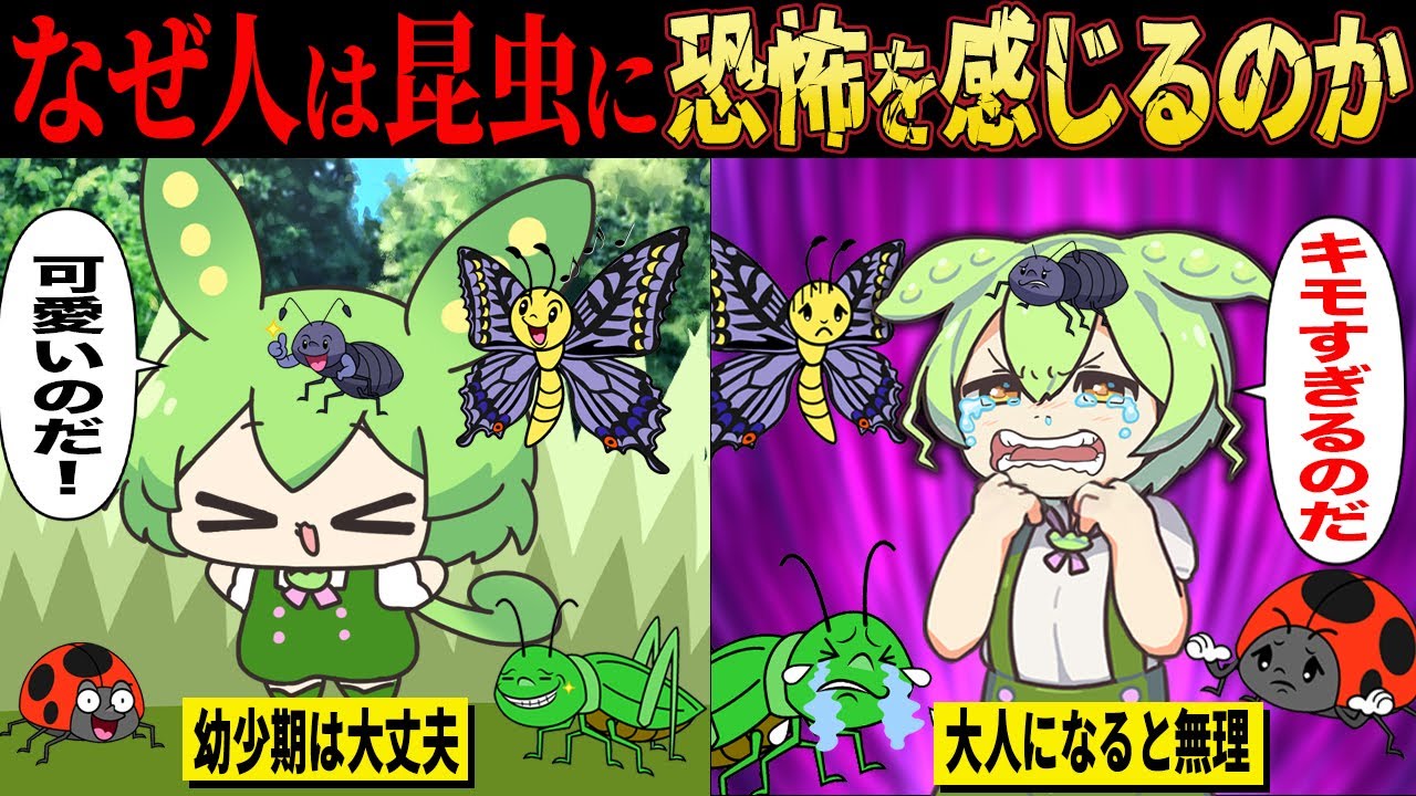 人類は昆虫に食べられていた？人はなぜ昆虫が嫌いなのか徹底解説【ずんだもん＆ゆっくり解説】
