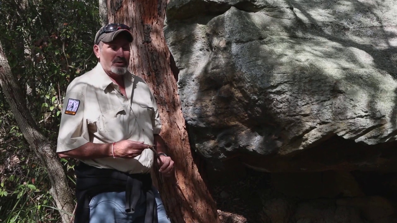 Aboriginal Rock Art and Engraving Sites, Sydney