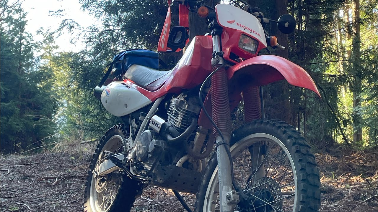 静岡県 林道天子ケ岳線　2026年1月　XR600