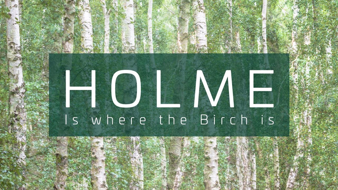 HOLME is where the Birch is // Woodland Photography & good friends // Holme Fen Cambridgeshire.
