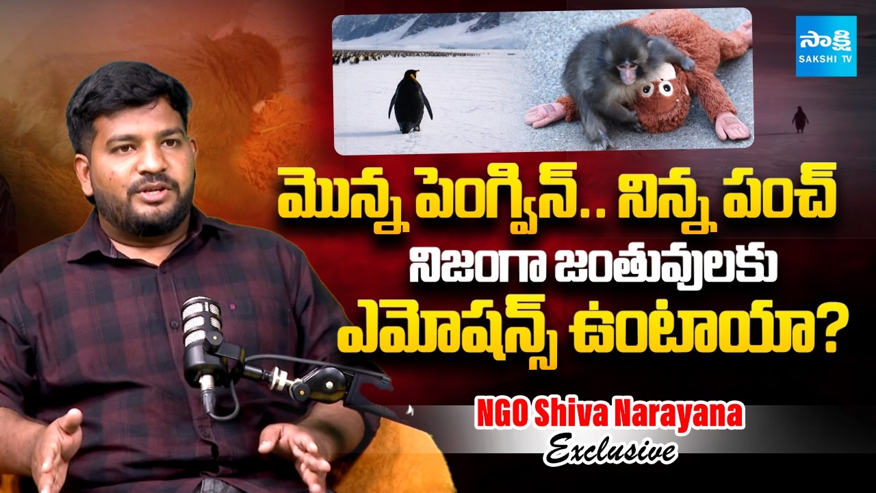 NGO Shiva Narayana about Penguin & Baby Monkey Punch Stories | Sakshi Family