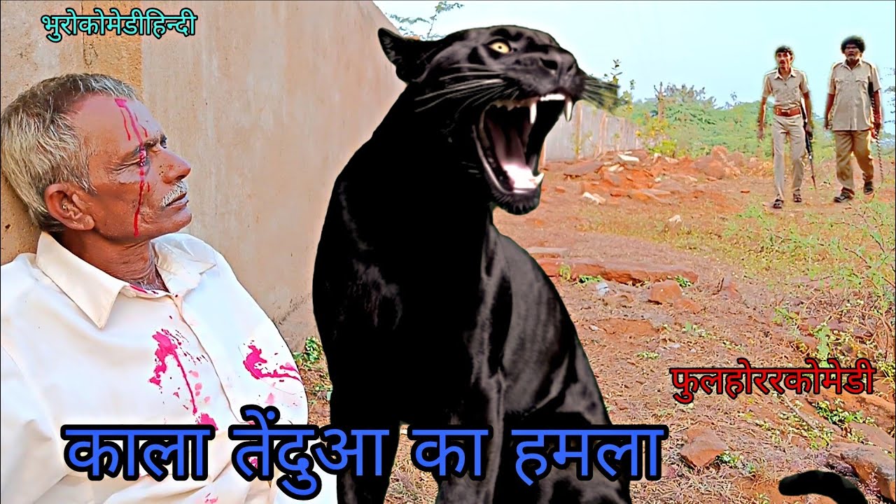काला तेंदुआ का हमला|bhurocomedyhindi|hindivideo|foolcomedyhorroar 