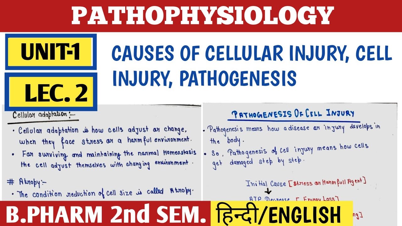 Cellular injury । Causes of cellular injury । Pathogenesis । Unit 1। Pathophysiology ।