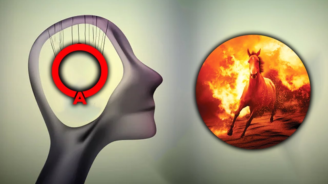 Antinatalism, Free Will & Gnosticism | DO NOT WATCH