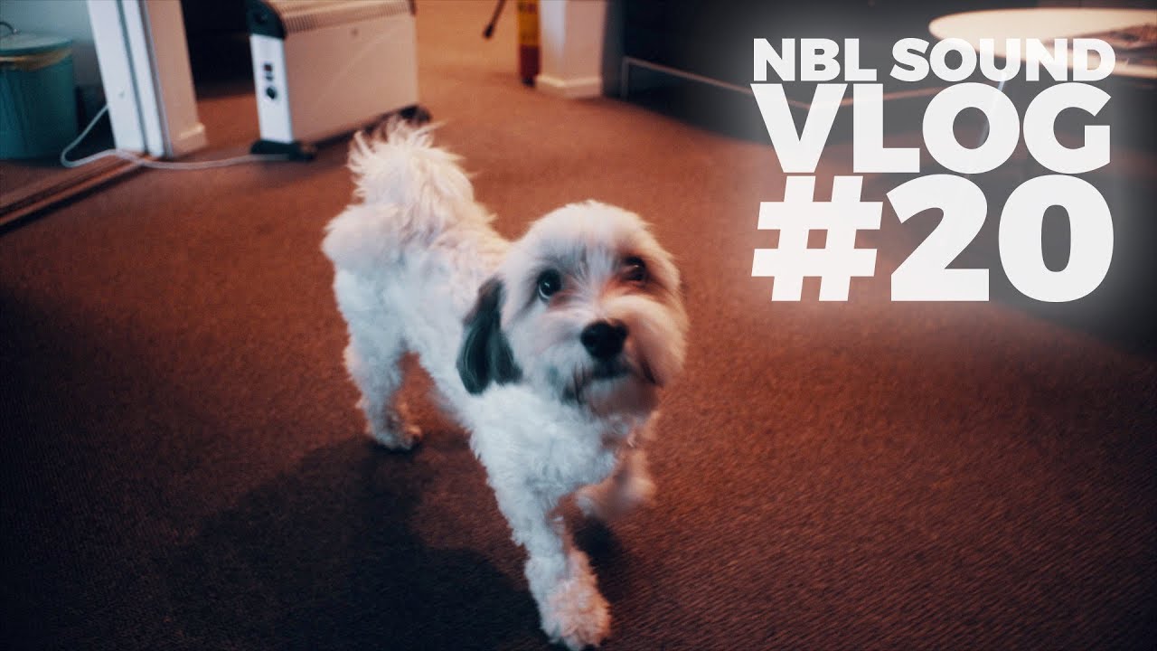 M&auml;nniskans b&auml;sta v&auml;n i studion | NBL SOUND VLOG #20