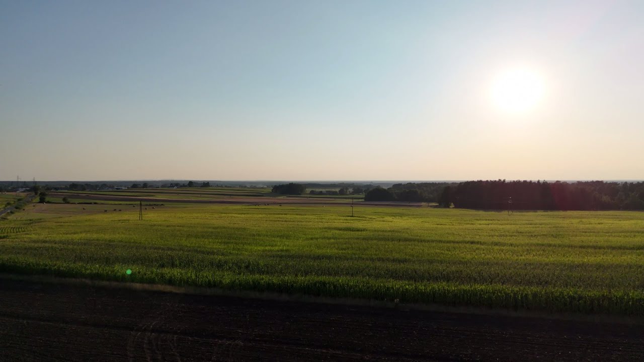 Region Ostrzeszów, (Siedlików, Przedborów, Wzniesienie Bałczyna, Stawy Rybne na Królewskim).