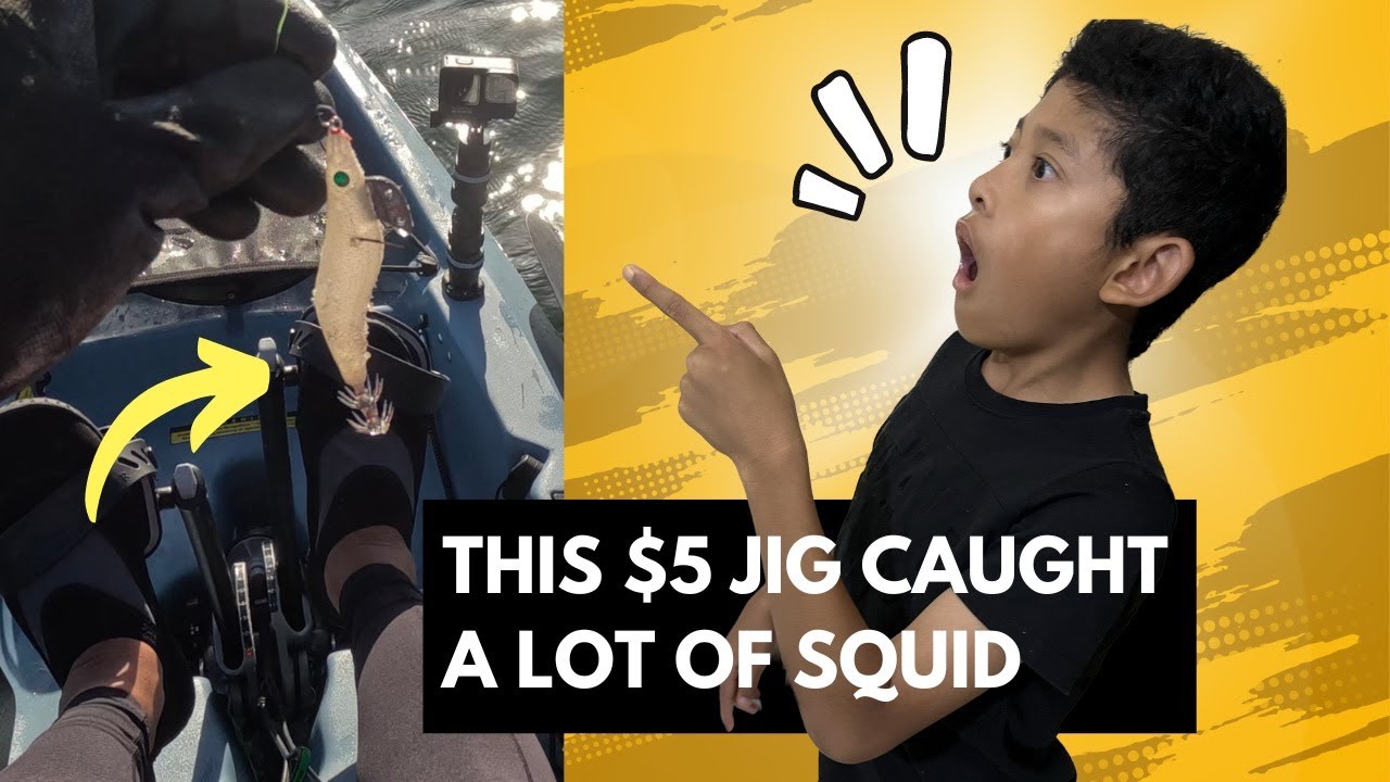 Crazy squid session on a cheap squid jig