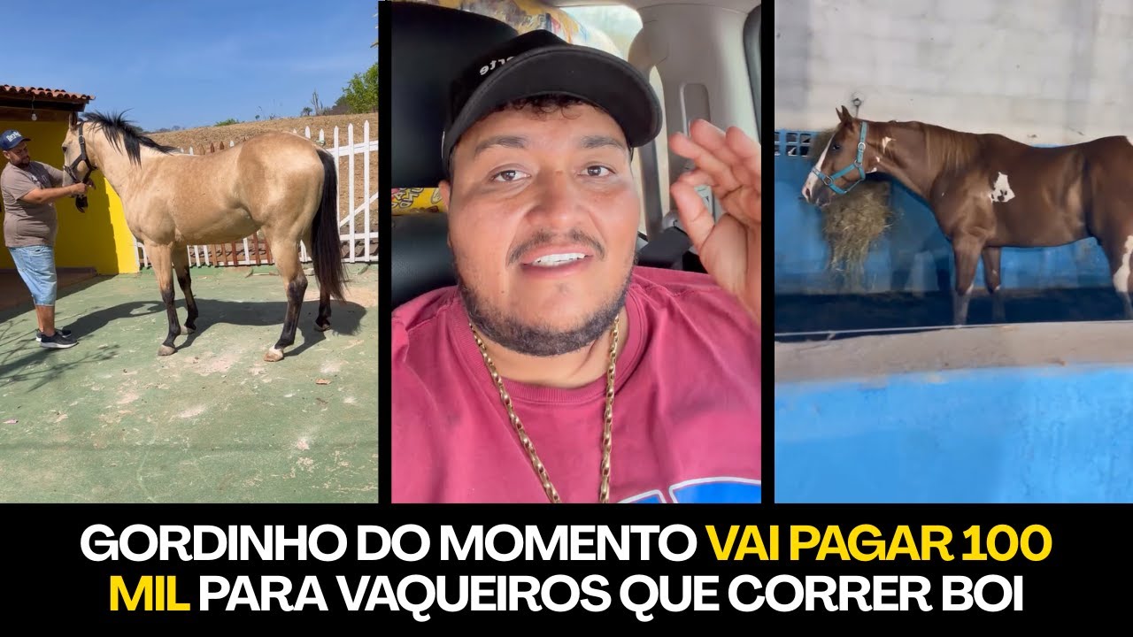 GORDINHO DO MOMENTO VAI PAGAR 100 MIL PARA VAQUEIROS QUE CORRER NO PORTAL VAQUEJADA - CONFIRA