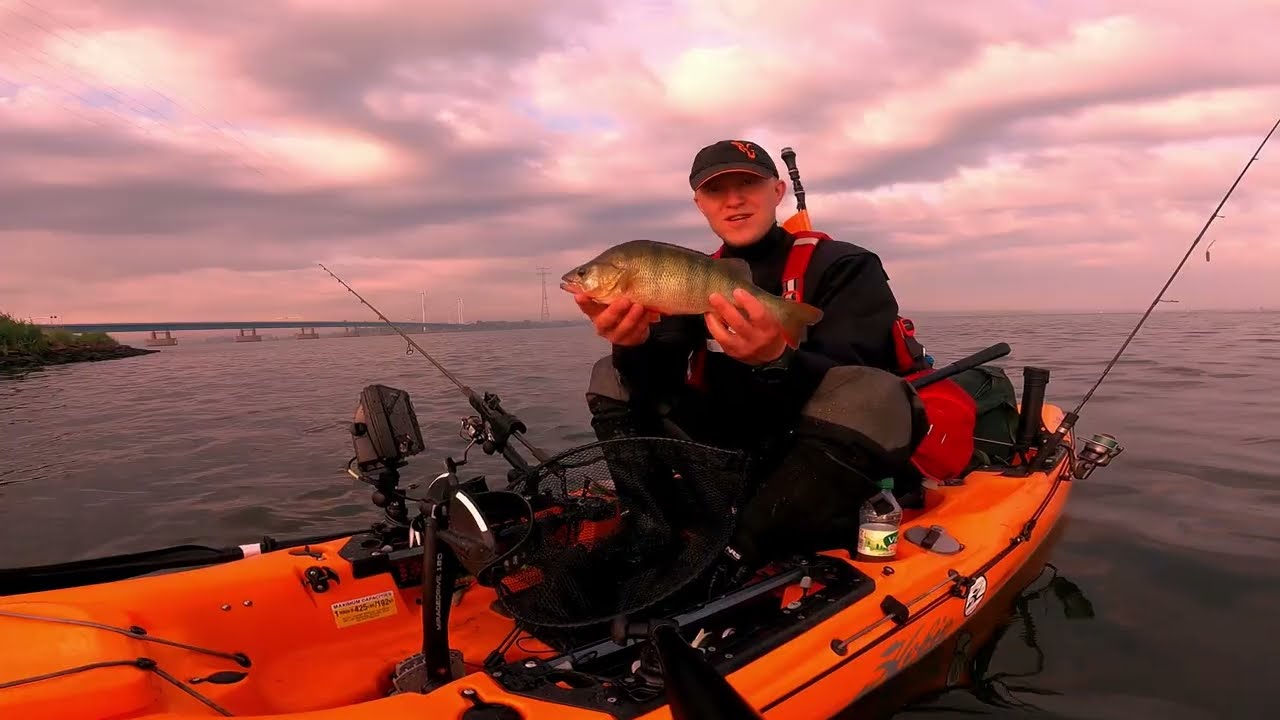 Holands Diep, Kayak fishing, Zander and perch.