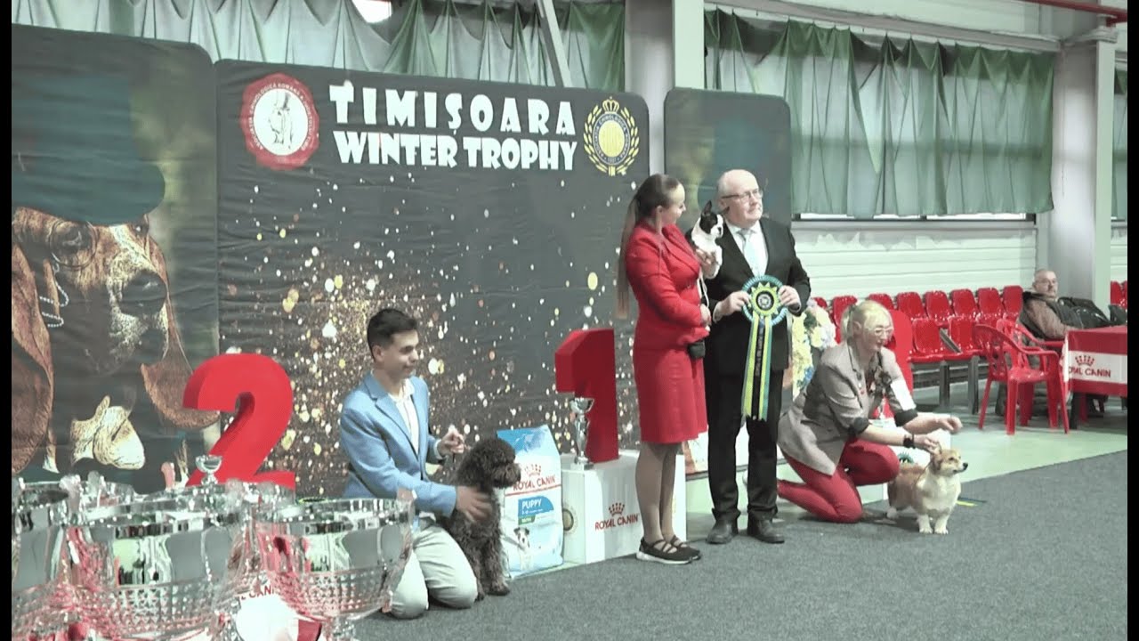 IDS2 Timisoara – Rozebottel's Viva Life On Mars, res.Puppy BIS