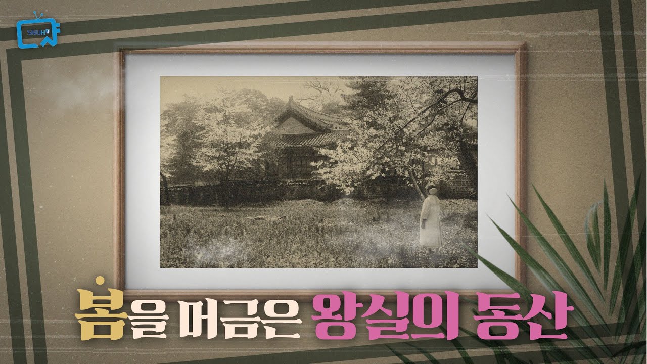 조선 왕실 동산에 서울대병원이 세워진 이유 | 대한닥터후 17화