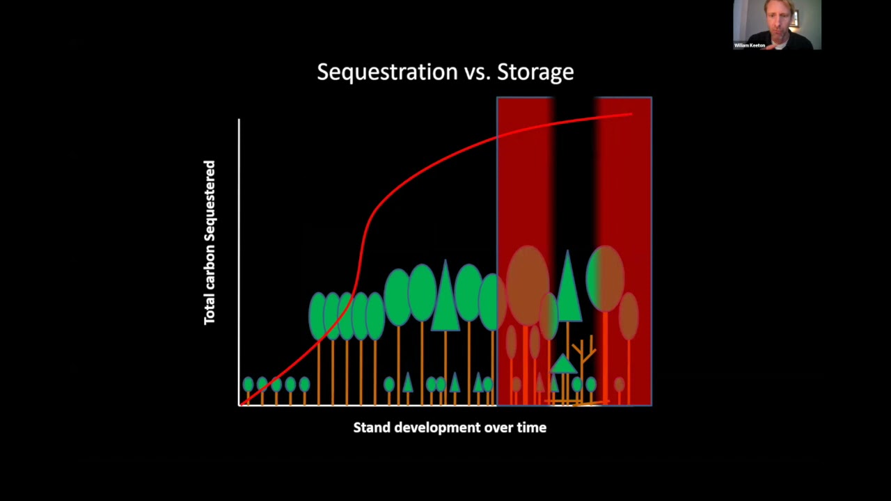 The Science of Carbon Forestry