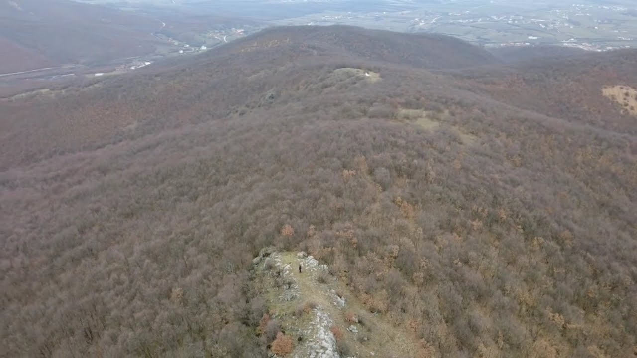 Dardani