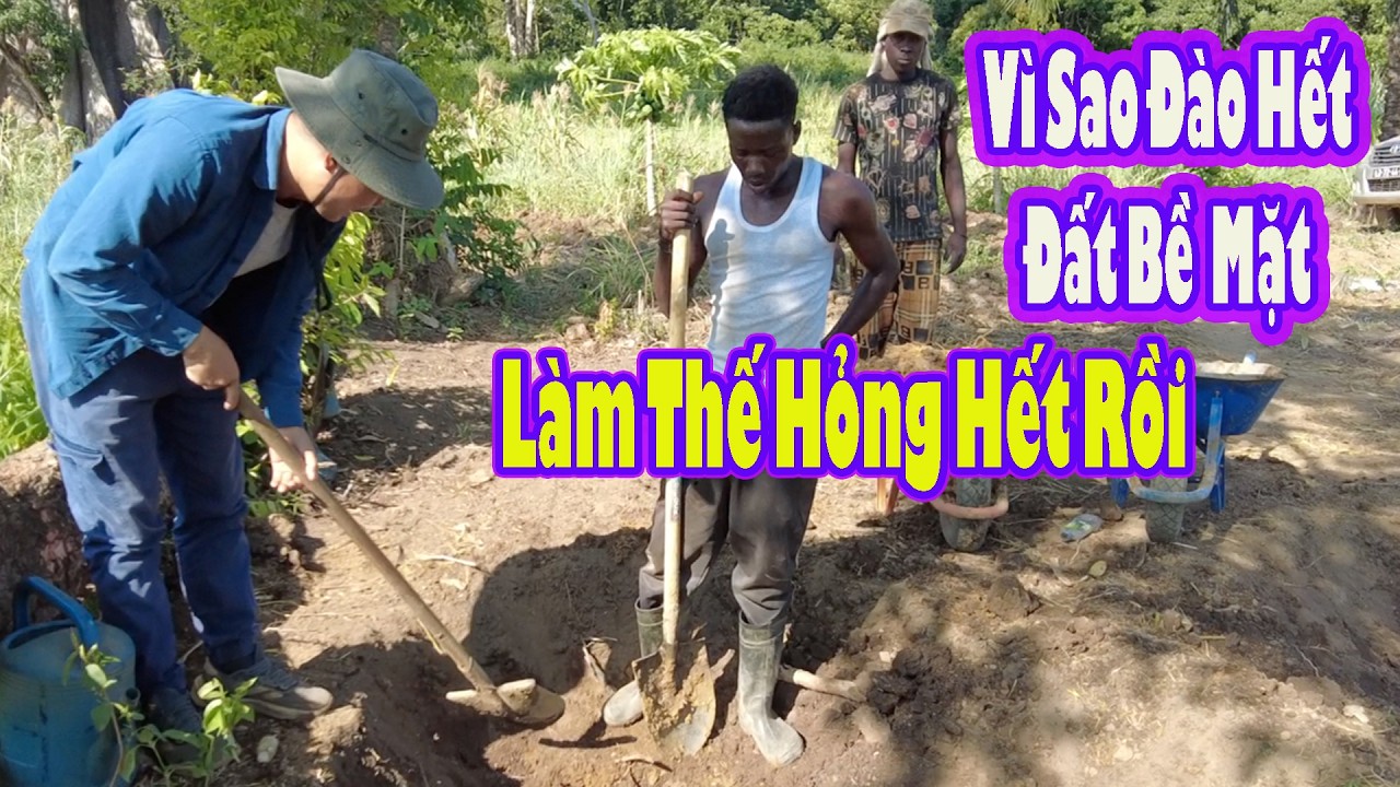 Quyết Bonito trả lời vì sao cứ đào đất bề mặt bỏ đi|| 2Q Vlogs Cuộc Sống Châu Phi