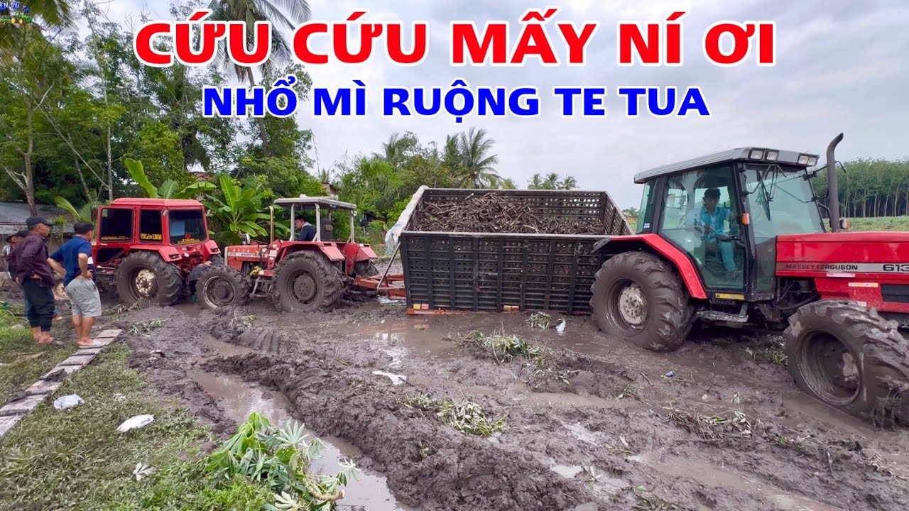 Đất này kéo củ mì nhìn ớn quá anh em ơi