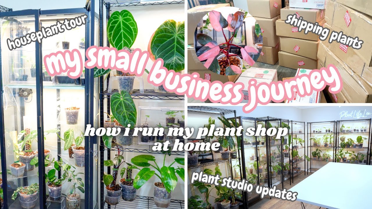 Small Business Journey: 2024 Houseplant Collection Tour, Plant Studio Updates, Packing Plant Orders