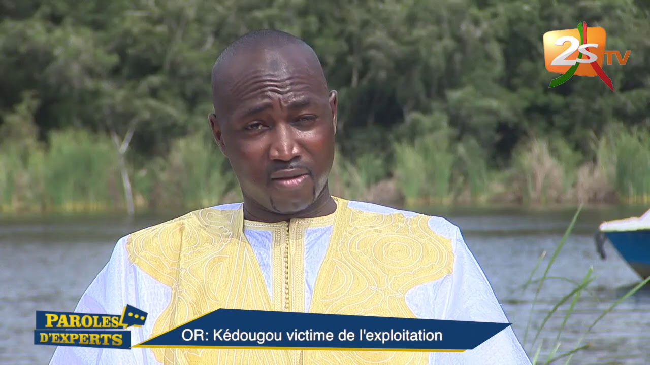 PAROLES D'EXPERTS DU 1er NOVEMBRE 2018 AVEC CHEIKH DIABY - OR: KÉDOUGOU VICTIME DE L'EXPLOITATION