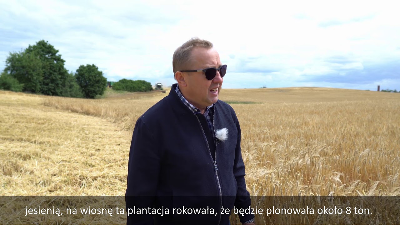 Żniwa jęczmienia ozimego Hyvido™ - Kisielice 2019