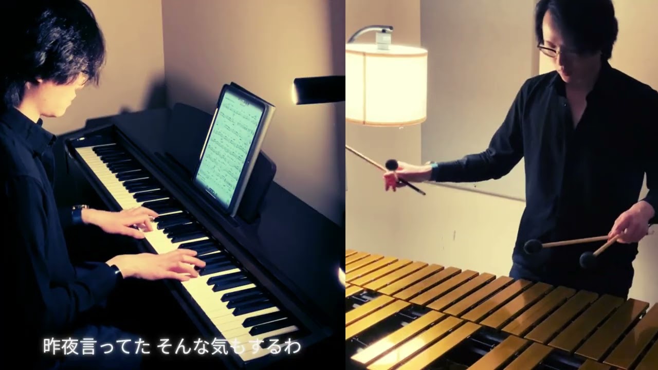 Stay With Me 真夜中のドア- Miki Matsubara | Vibraphone & Piano Cover | City Pop Jazz Fusion