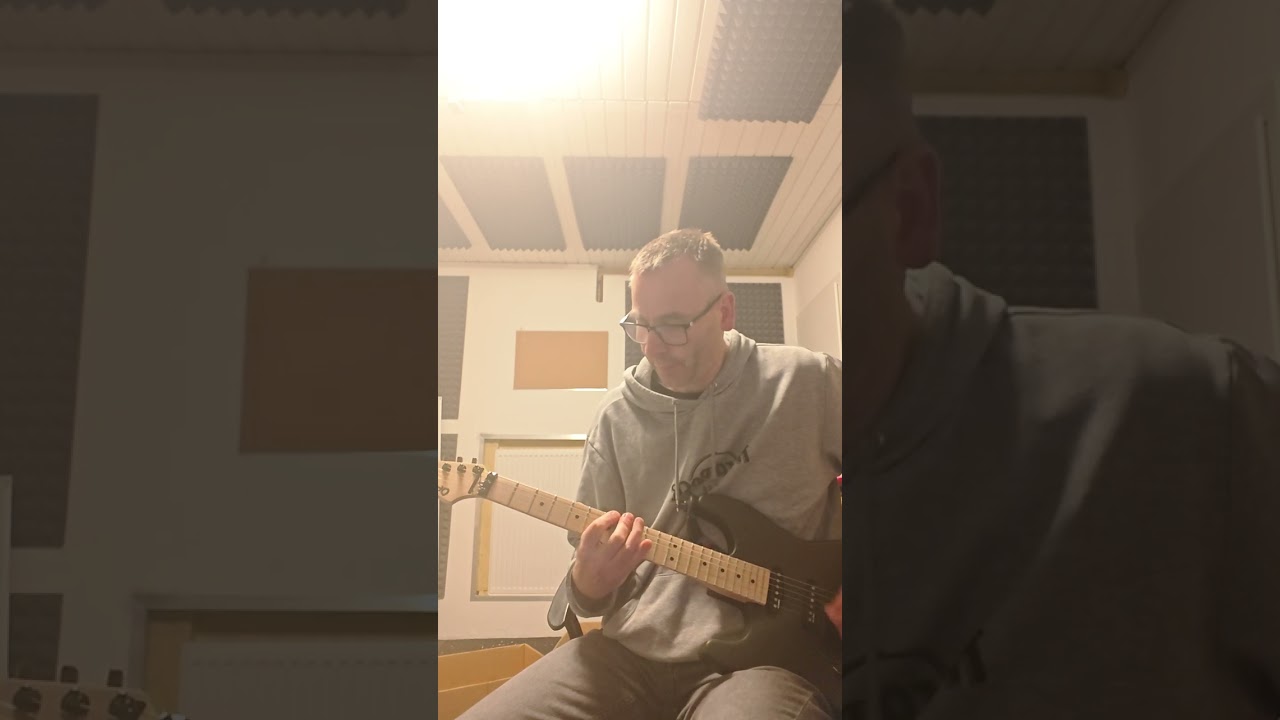 All for the king -  Seventh Seal Guitar cover try ;)