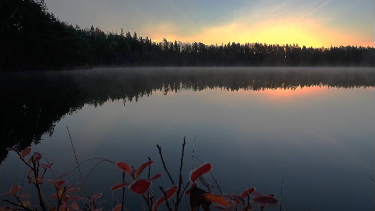 Kirkas aamu pian koittaa - Leena Liimatainen