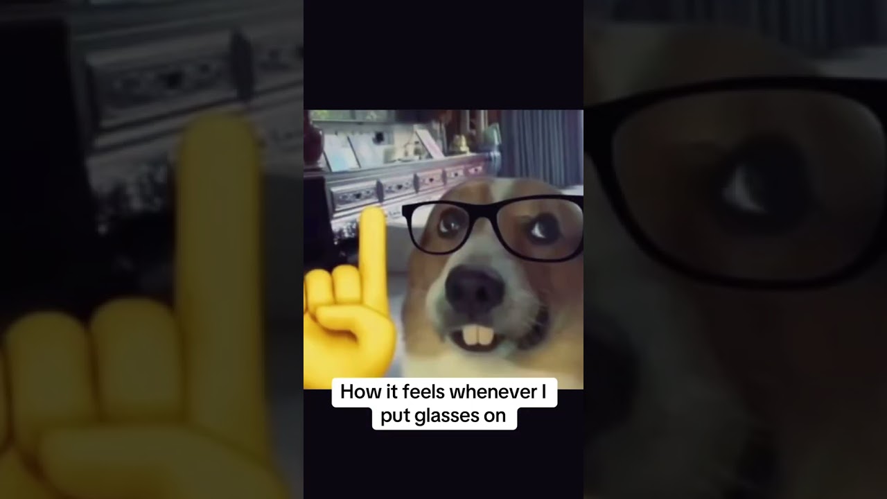 How it feels whenever I put glasses on 🤓