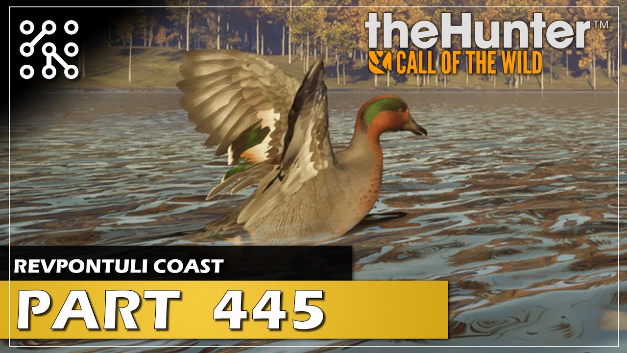 Lov vodních ptáků | theHunter: Call of the wild CZ |  Česky