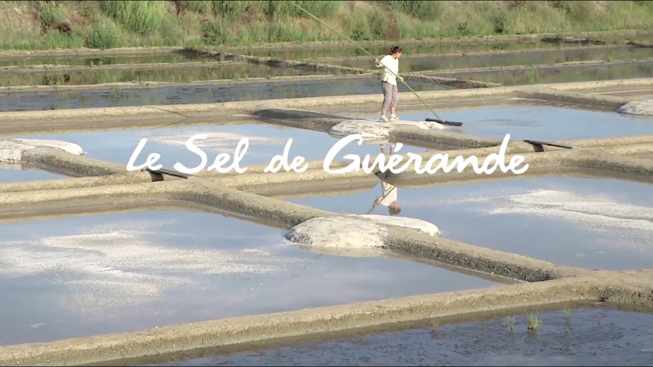 LE SEL DE GUERANDE
