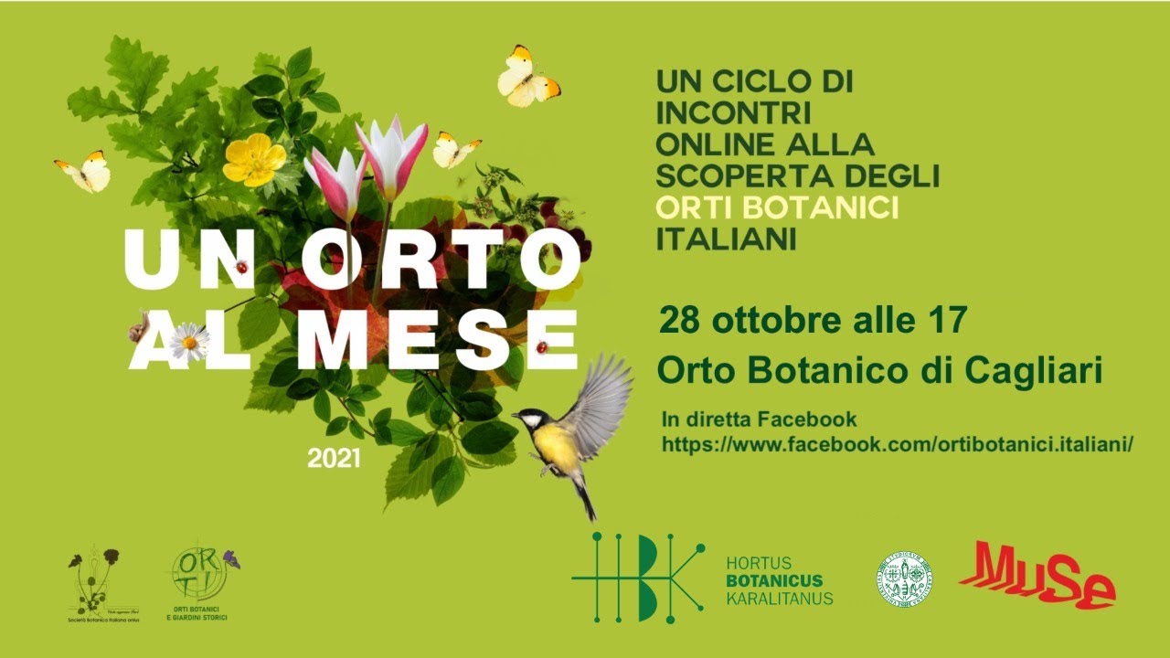 Un Orto al Mese: Orto Botanico di Cagliari