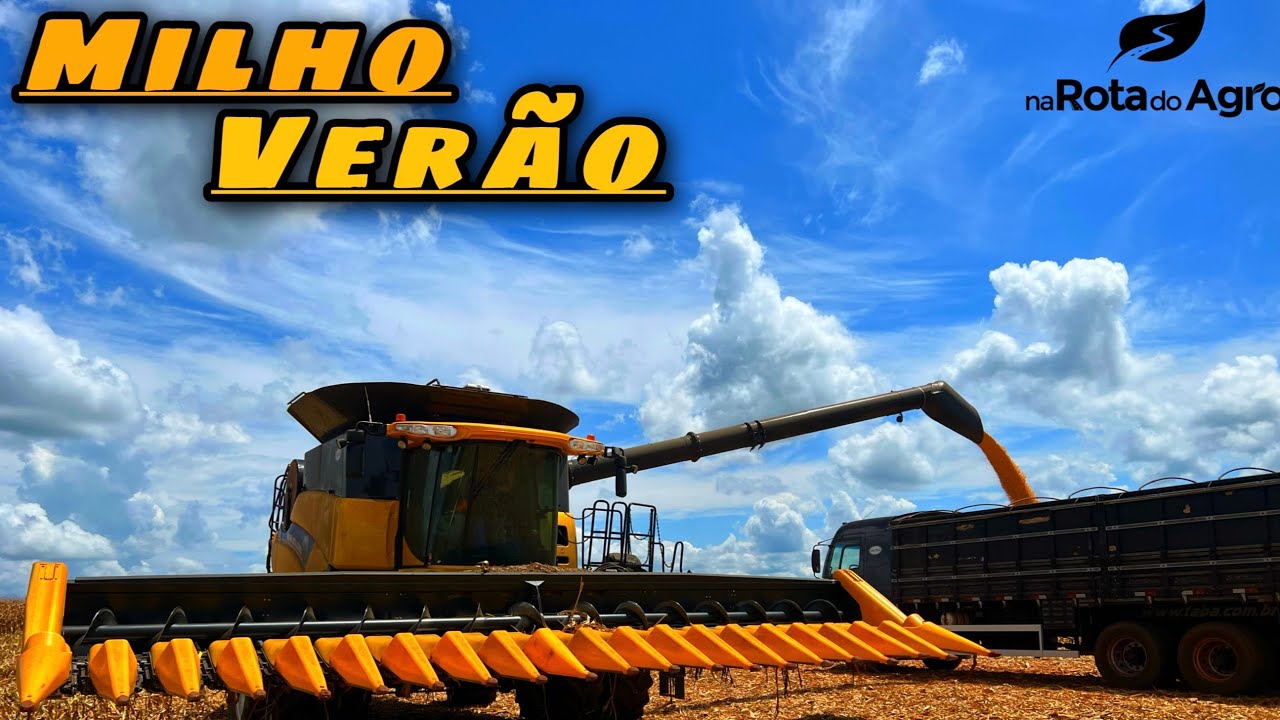 Colhendo milho com a Cr 8.90💥🌽